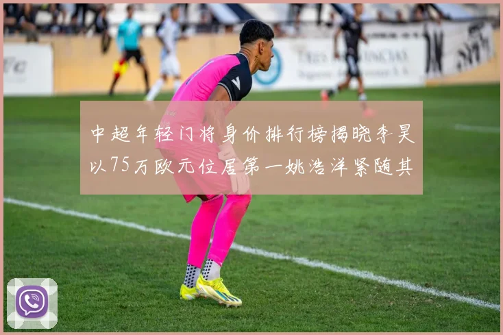 中超年轻门将身价排行榜揭晓李昊以75万欧元位居第一姚浩洋紧随其后